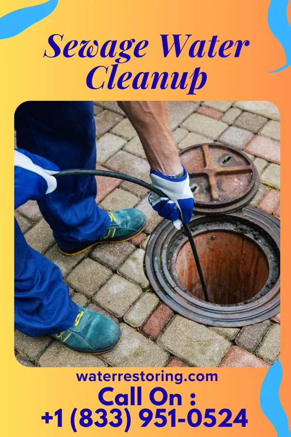 Sewage Water Cleanup in Seneca, SD