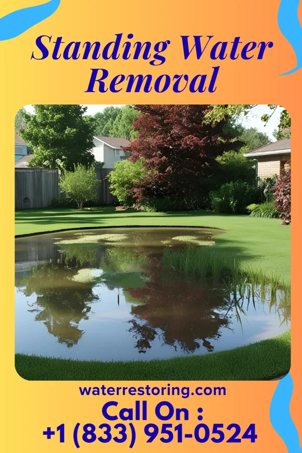 Standing Water Removal in Seneca, SD